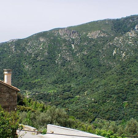 Studio Le Petit Nid D'Amour Meuble Tourisme 3 Etoiles Poggio Santa-Lucia-di-Tallano Экстерьер фото