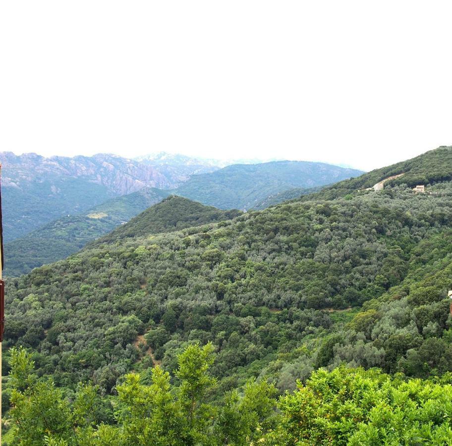 Studio Le Petit Nid D'Amour Meuble Tourisme 3 Etoiles Poggio Santa-Lucia-di-Tallano Экстерьер фото
